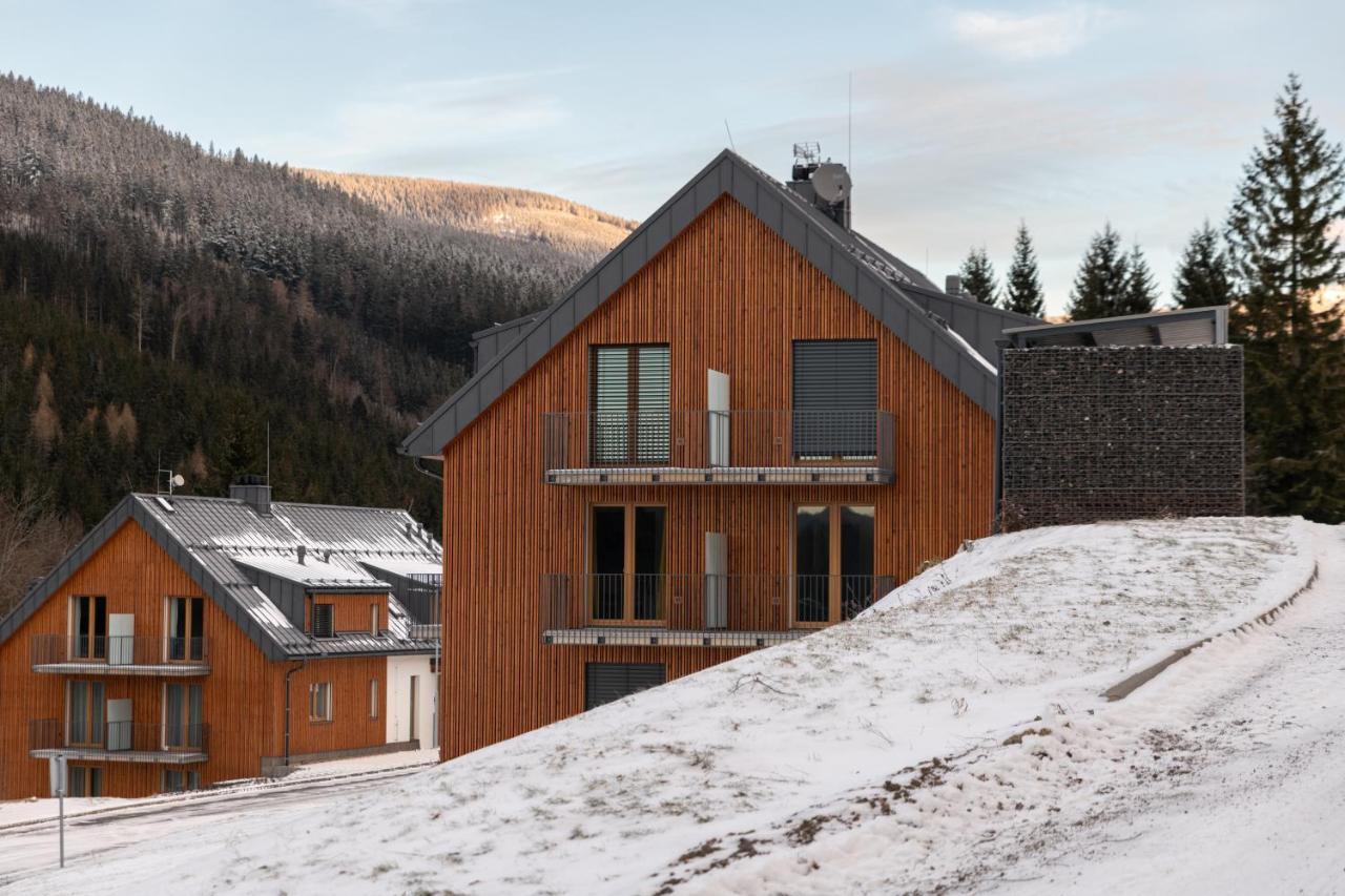 Apartman Pod Sneznikem Долни-Морава Экстерьер фото