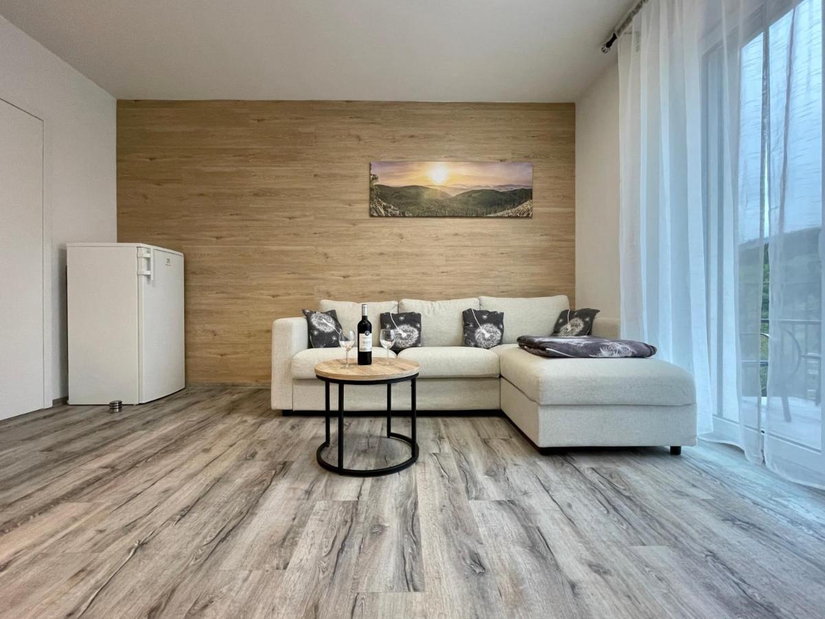 Apartman Pod Sneznikem Долни-Морава Экстерьер фото